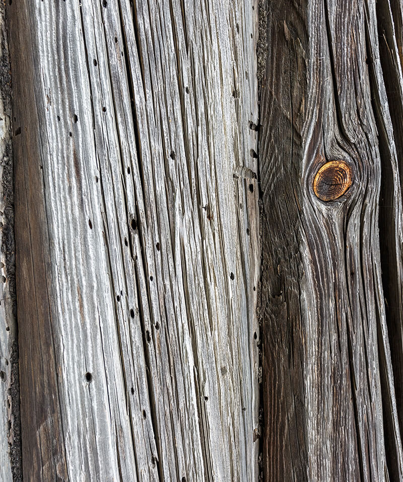 wooden-gray-frame-texture-of-old-house-with-burrow-eaten_9926747 (1)
