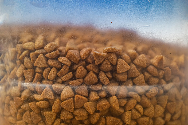 dry cat food in a jar