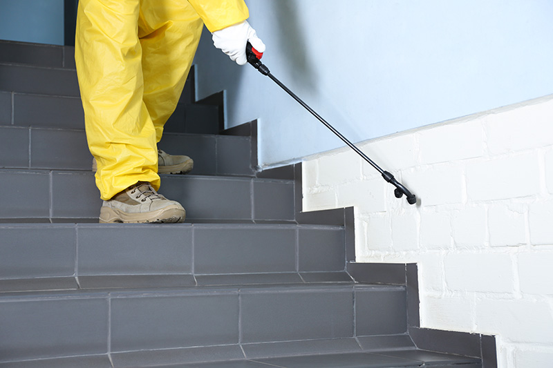 pest-control-worker-spraying-pesticide-clean-studio-asset